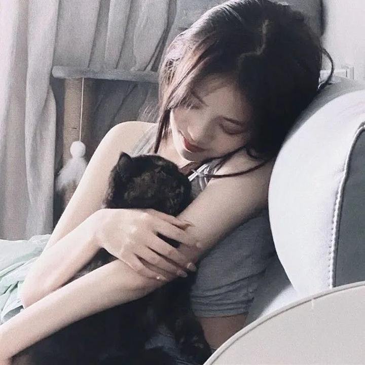 狼2019
