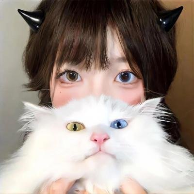 闪电狗